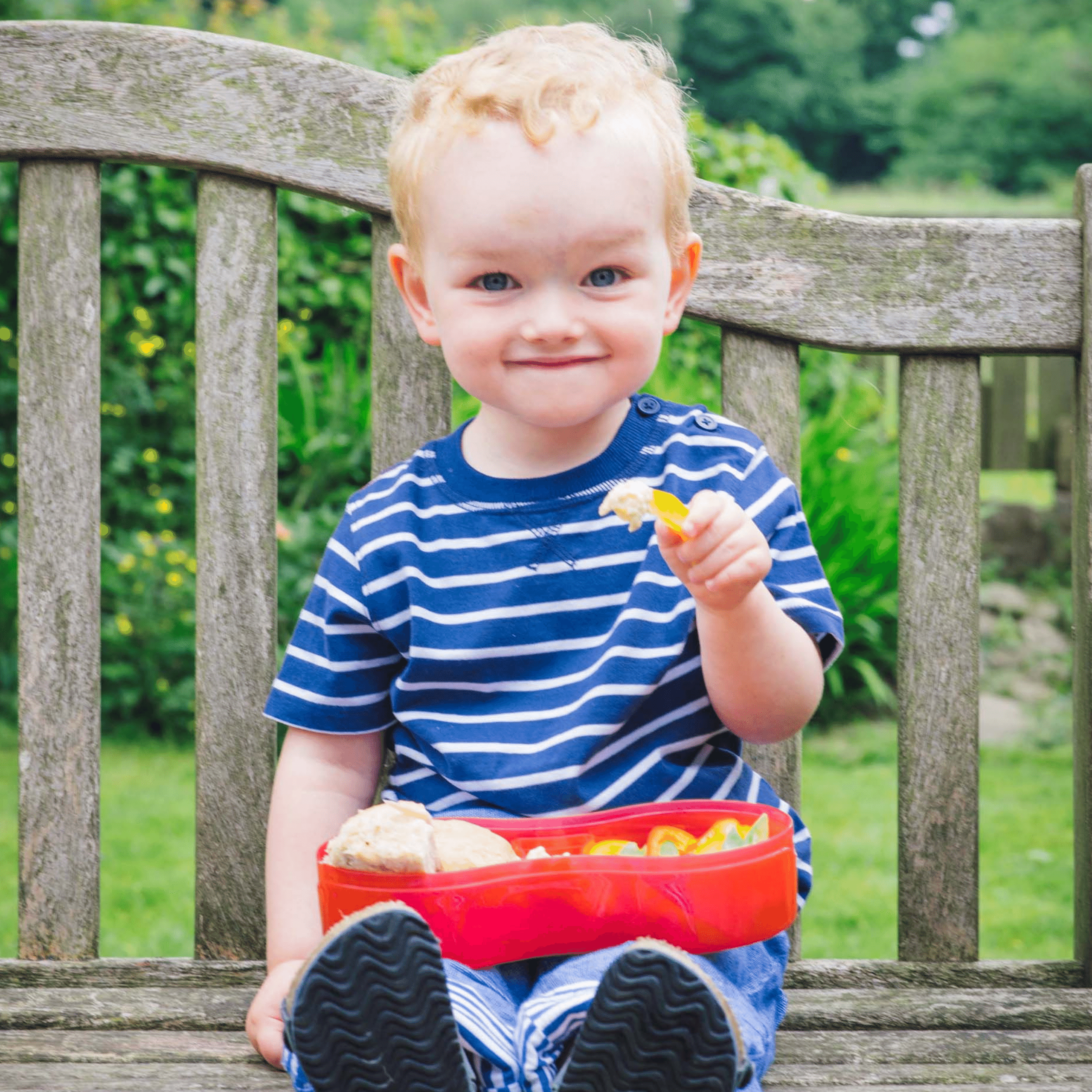 Tum Tum Lunch Boxes Bugs boîte repas enfant avec pot séparateur
