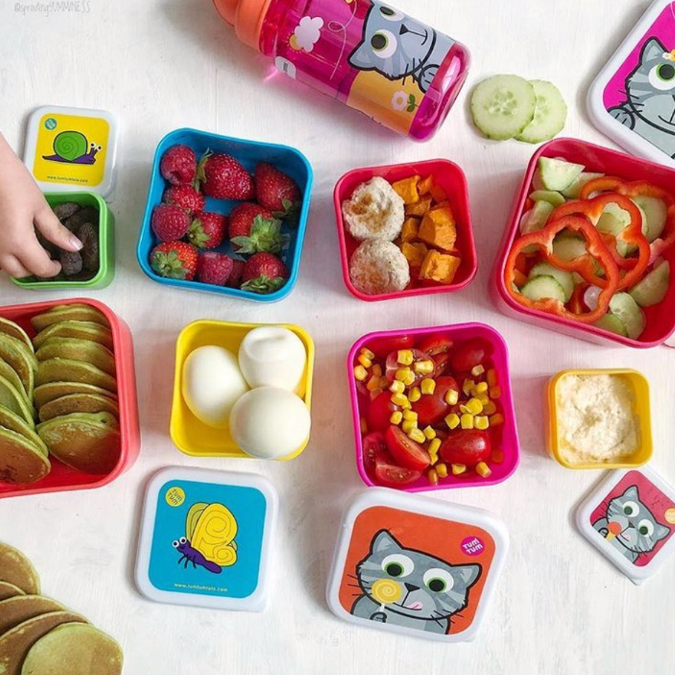 Tum Tum Lunch Boxes Bluebell the Cat lot de 4 boîtes goûter