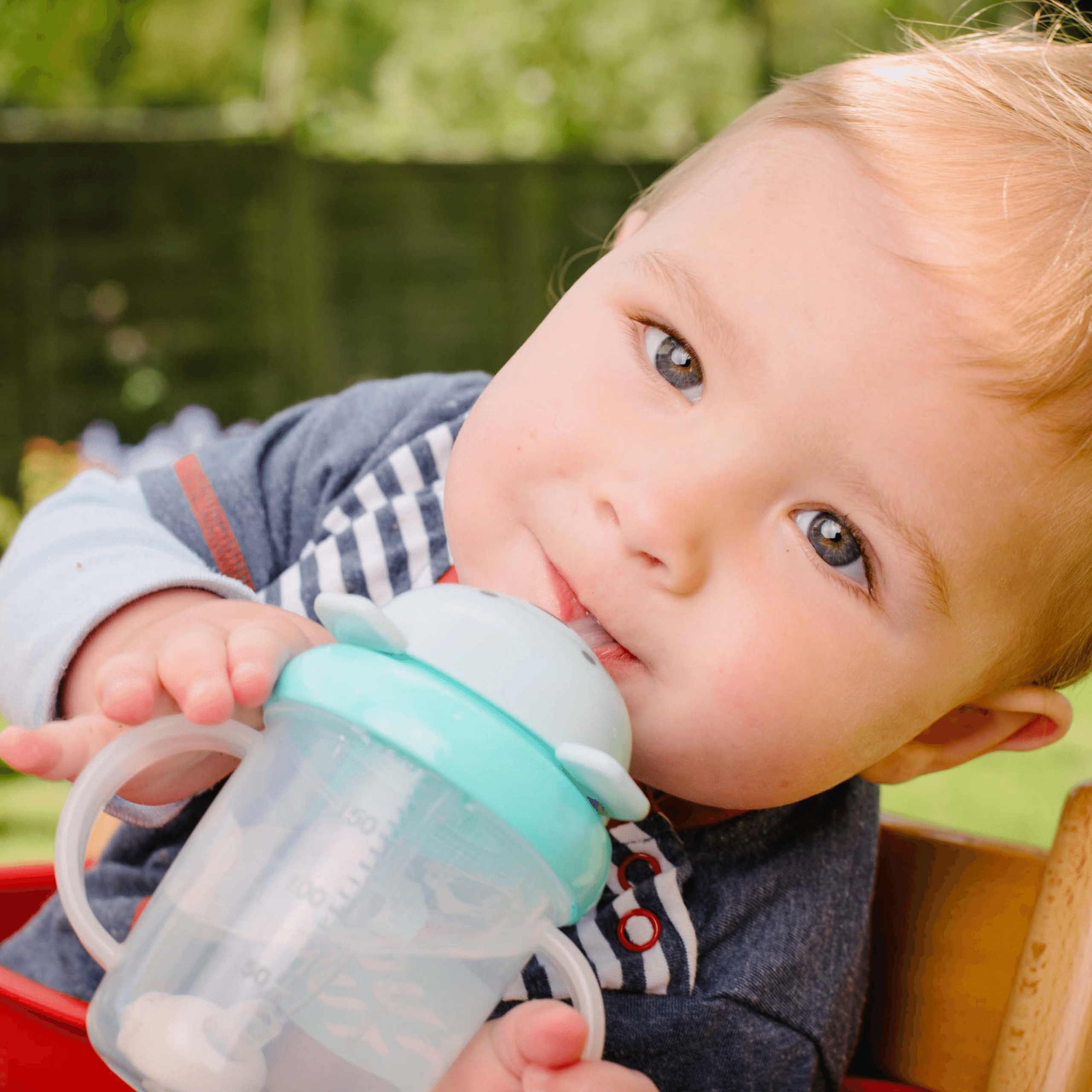 Tum Tum Cups Free Flow Cups & Straws Bundle Boris Bear gobelets bébé