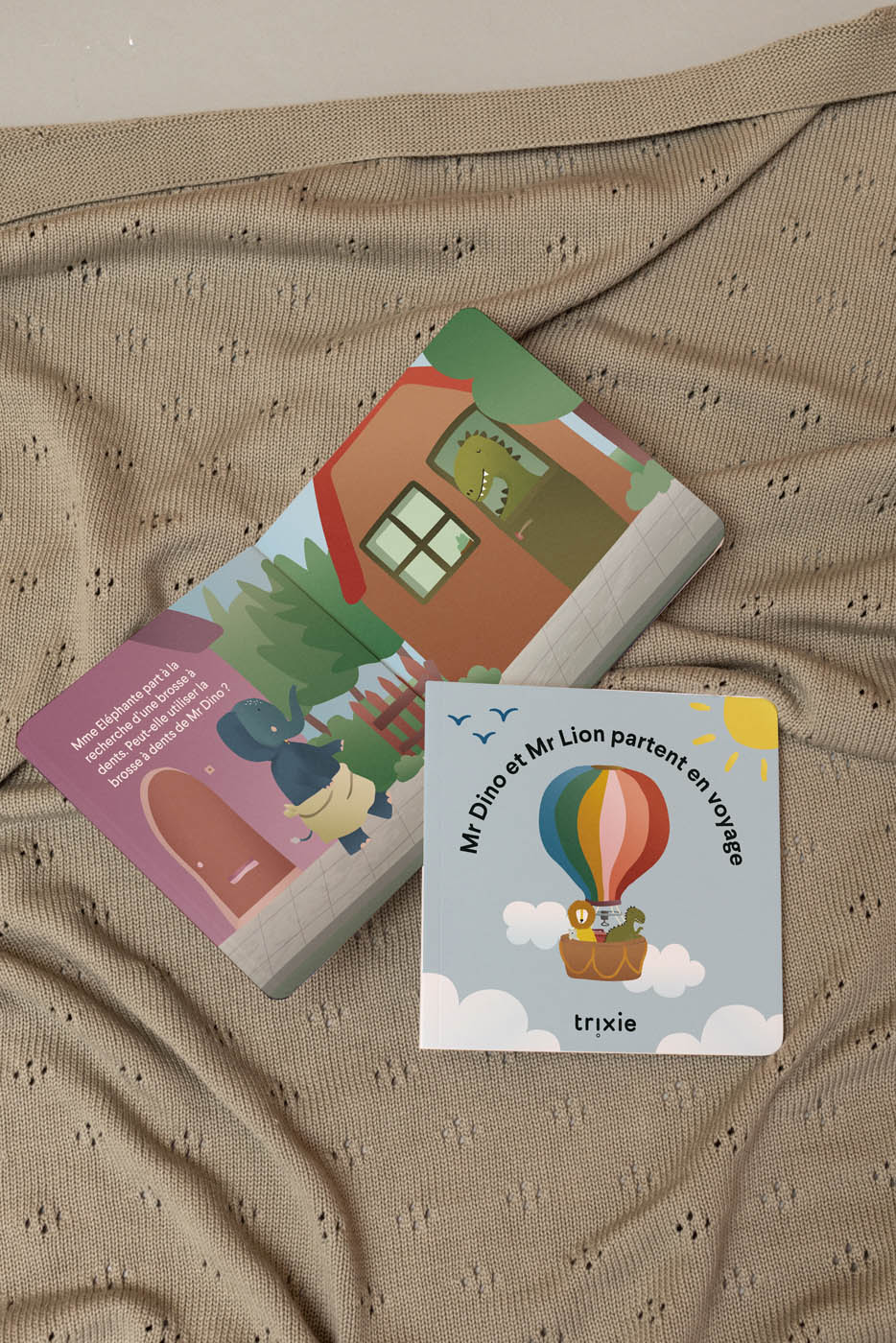 Trixie Baby Dino et Lion partent en voyage livre de conte français