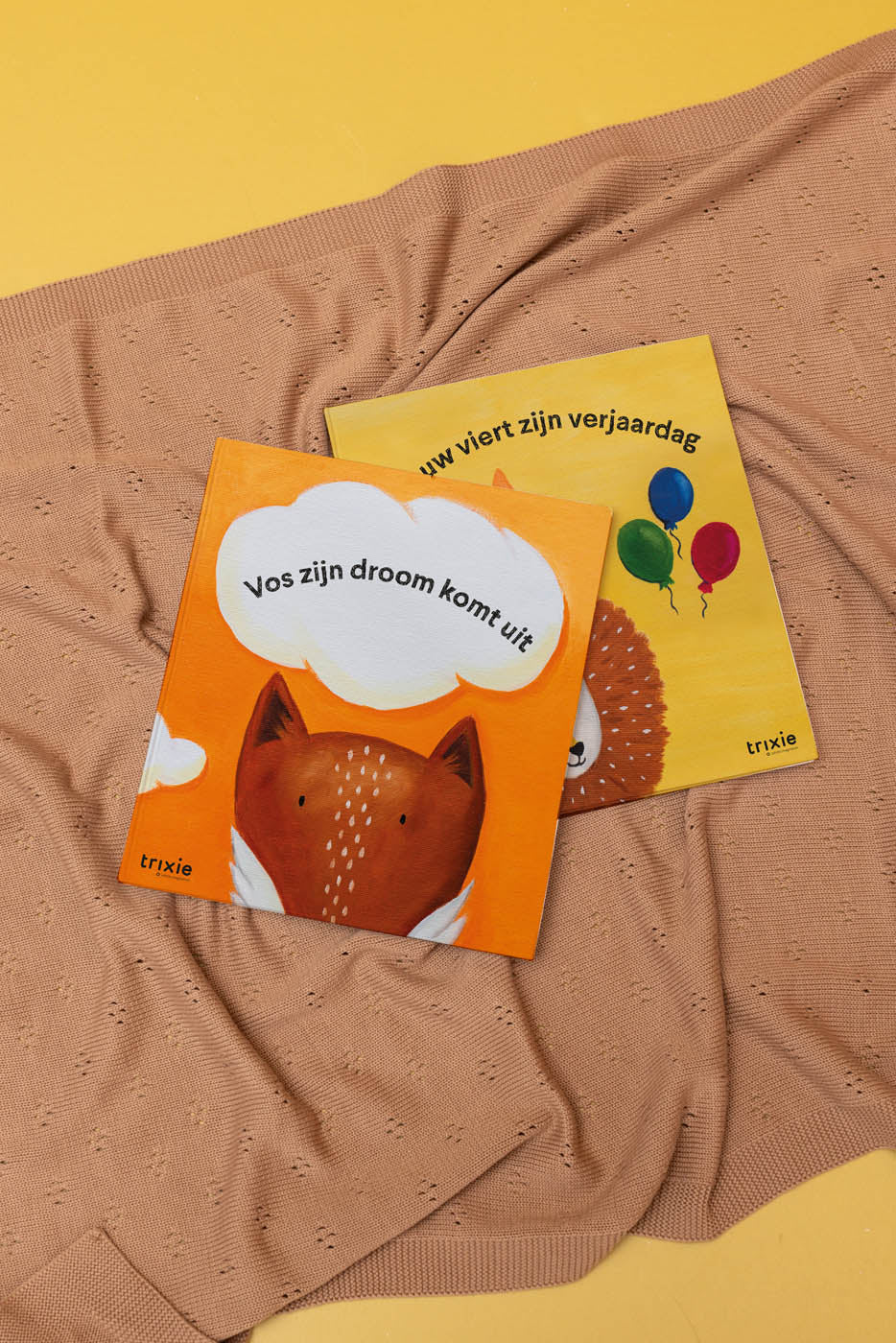 Trixie Baby Jeux, puzzles & livres Le Lion fête son anniversaire livre NL