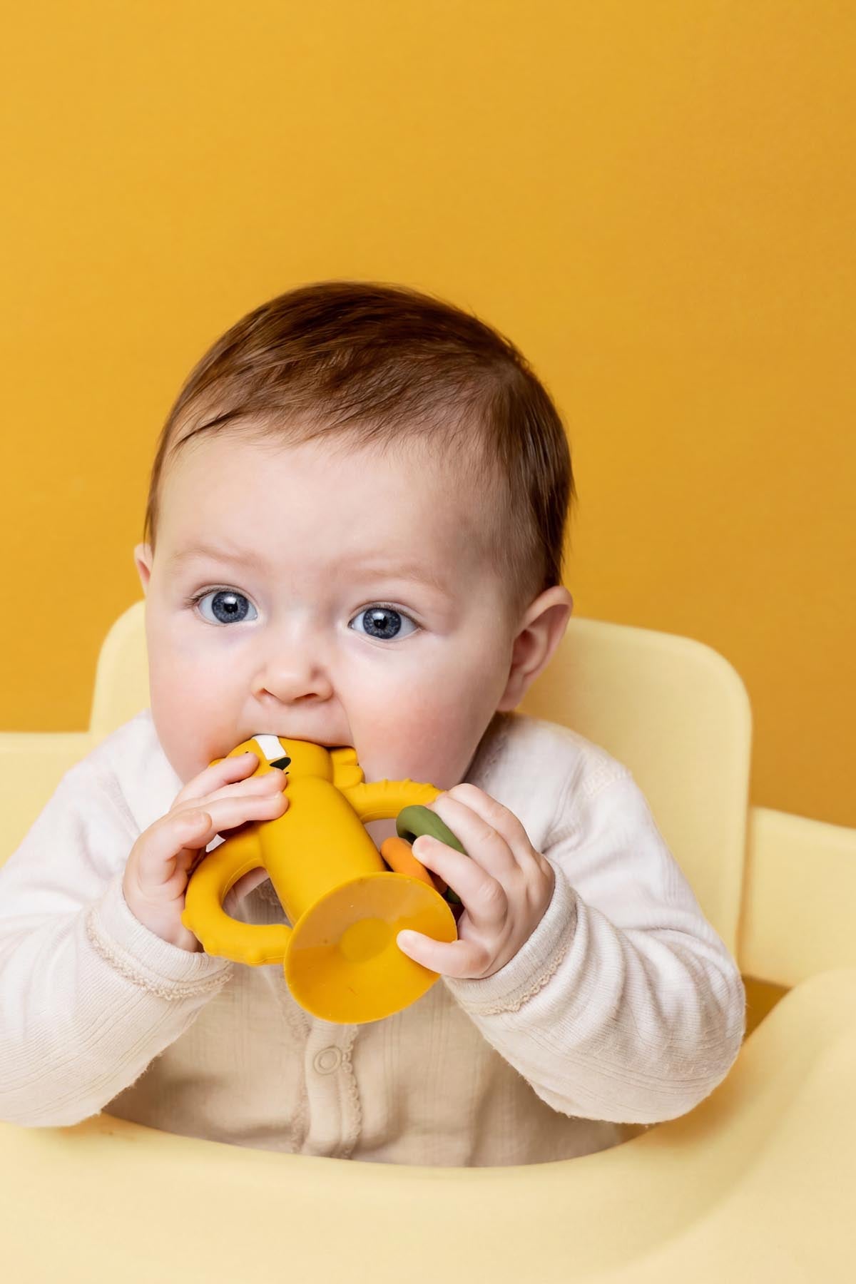 Trixie Baby Jouets sensoriels Jouet sensoriel en silicone avec ventouse Mr. Lion