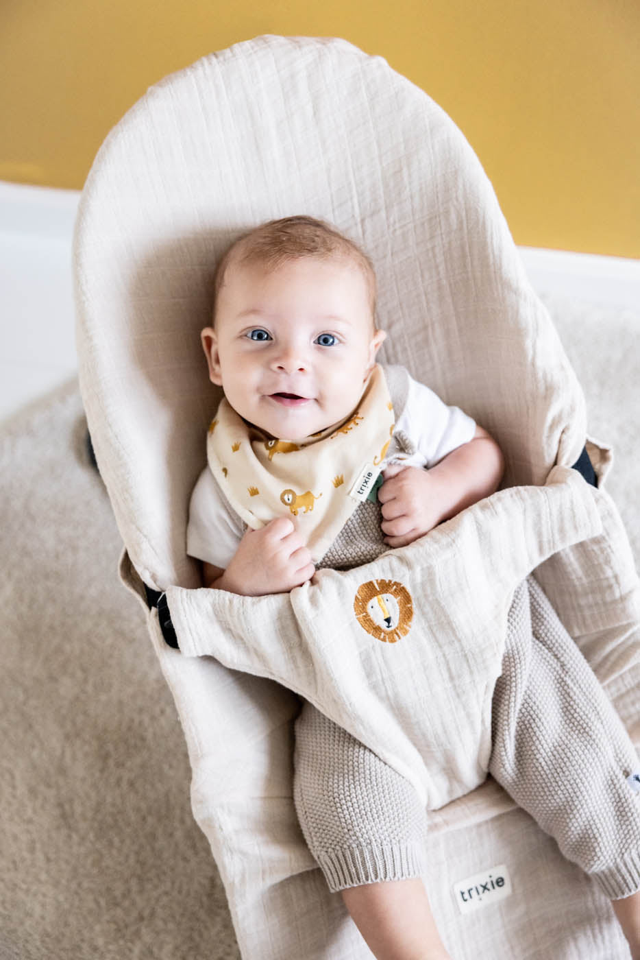 Trixie Baby Housses de protection relax Housse de protection relax Babybjörn Bliss Beige Mr. Lion coton