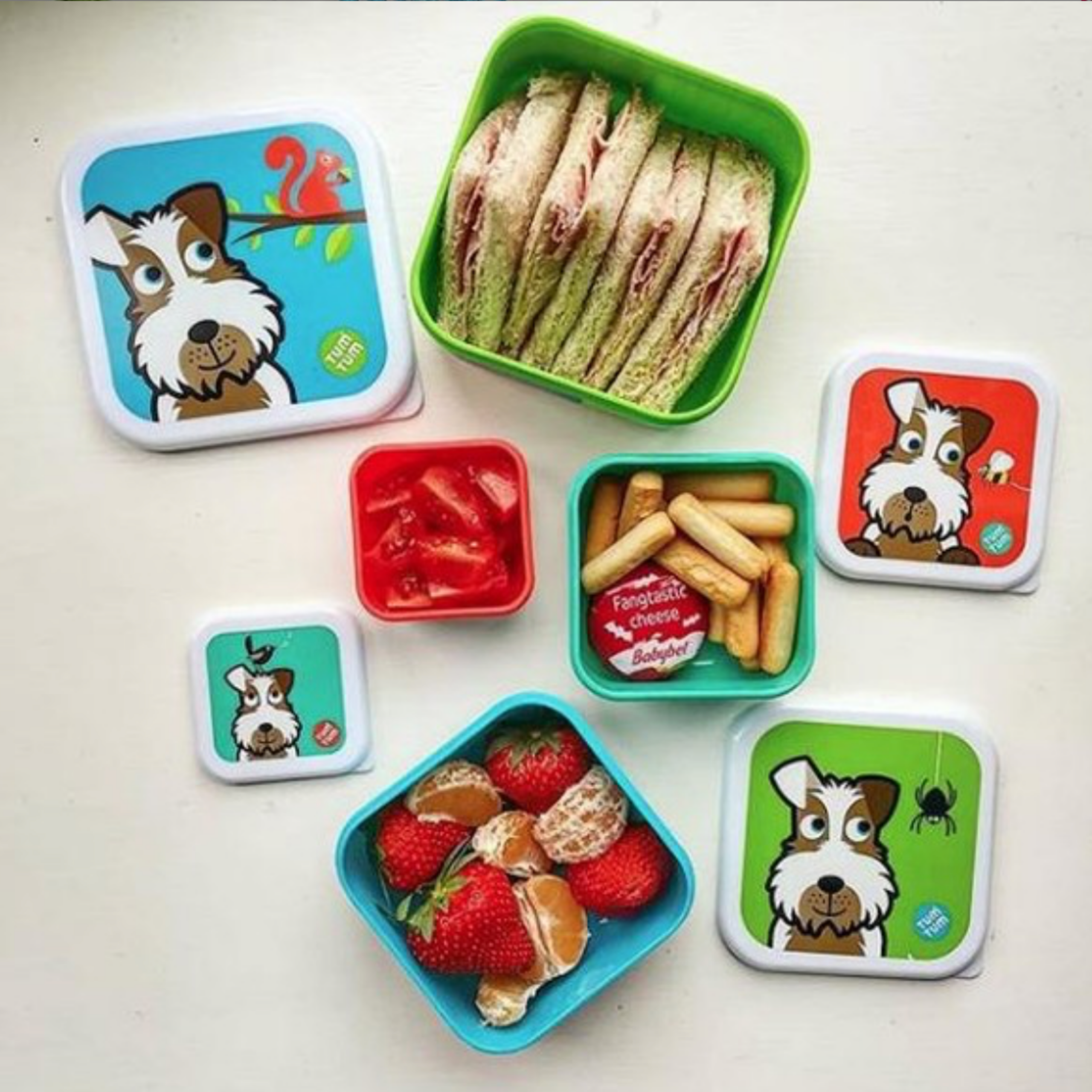 Tum Tum Lunch Boxes Set of 4 Nesting Snack Pots boîtes à goûter enfant Scruff the Dog